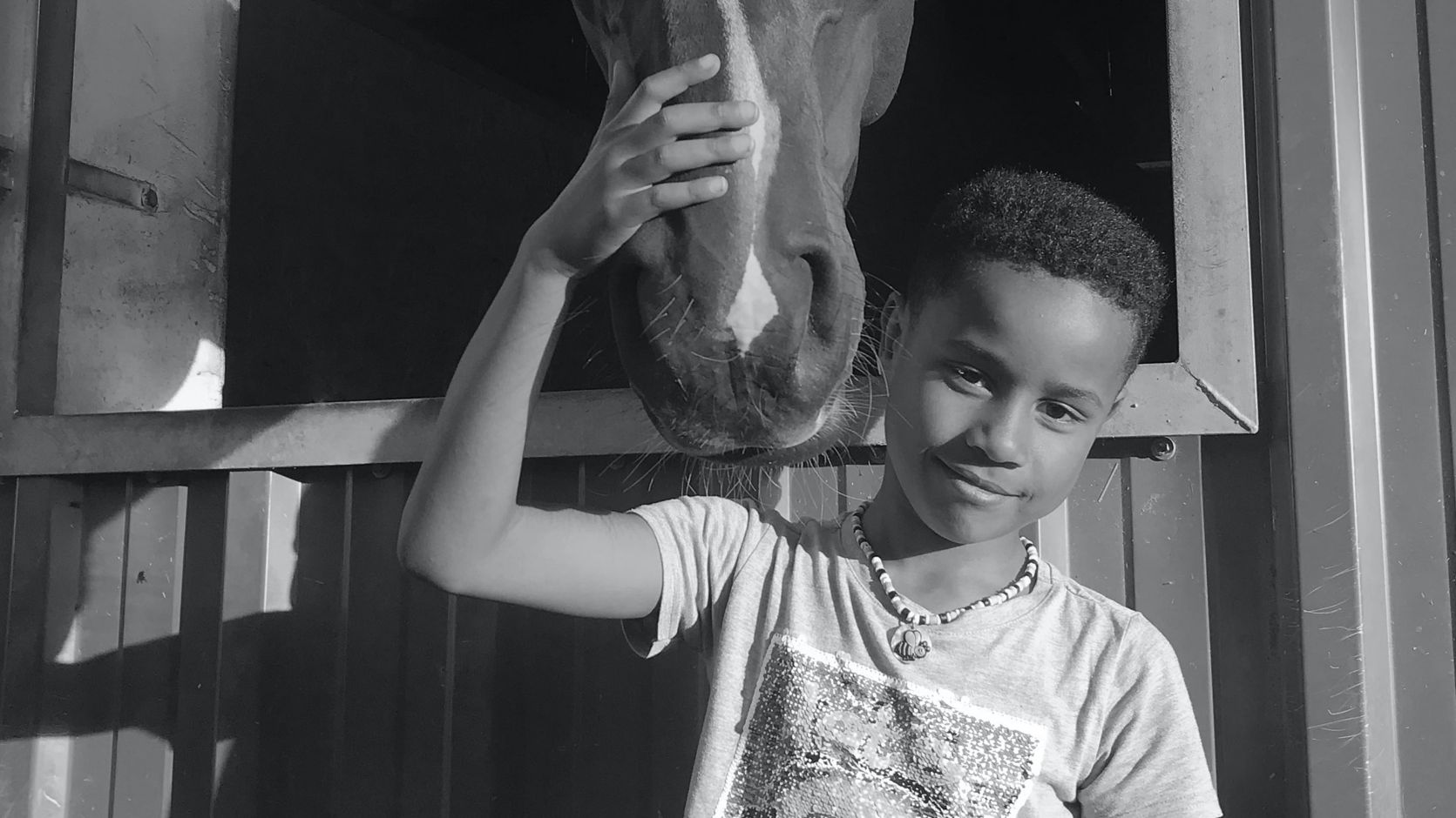 Wir unterstützen die Hamburger Sommerschule